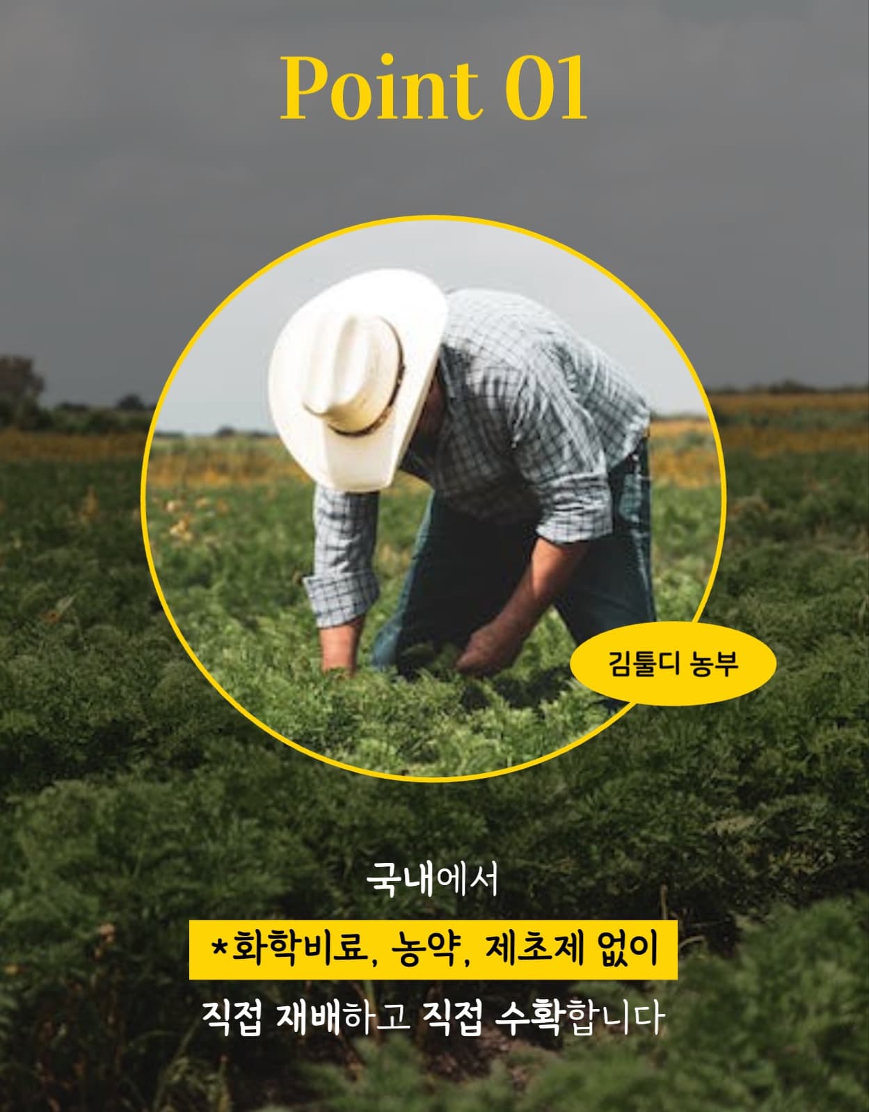 유기농 캐모마일 차 상세페이지