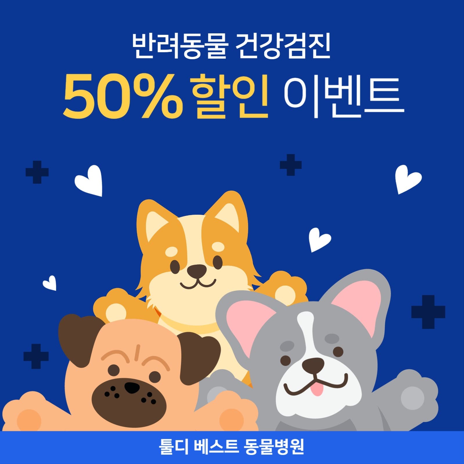 반려동물 건강검진