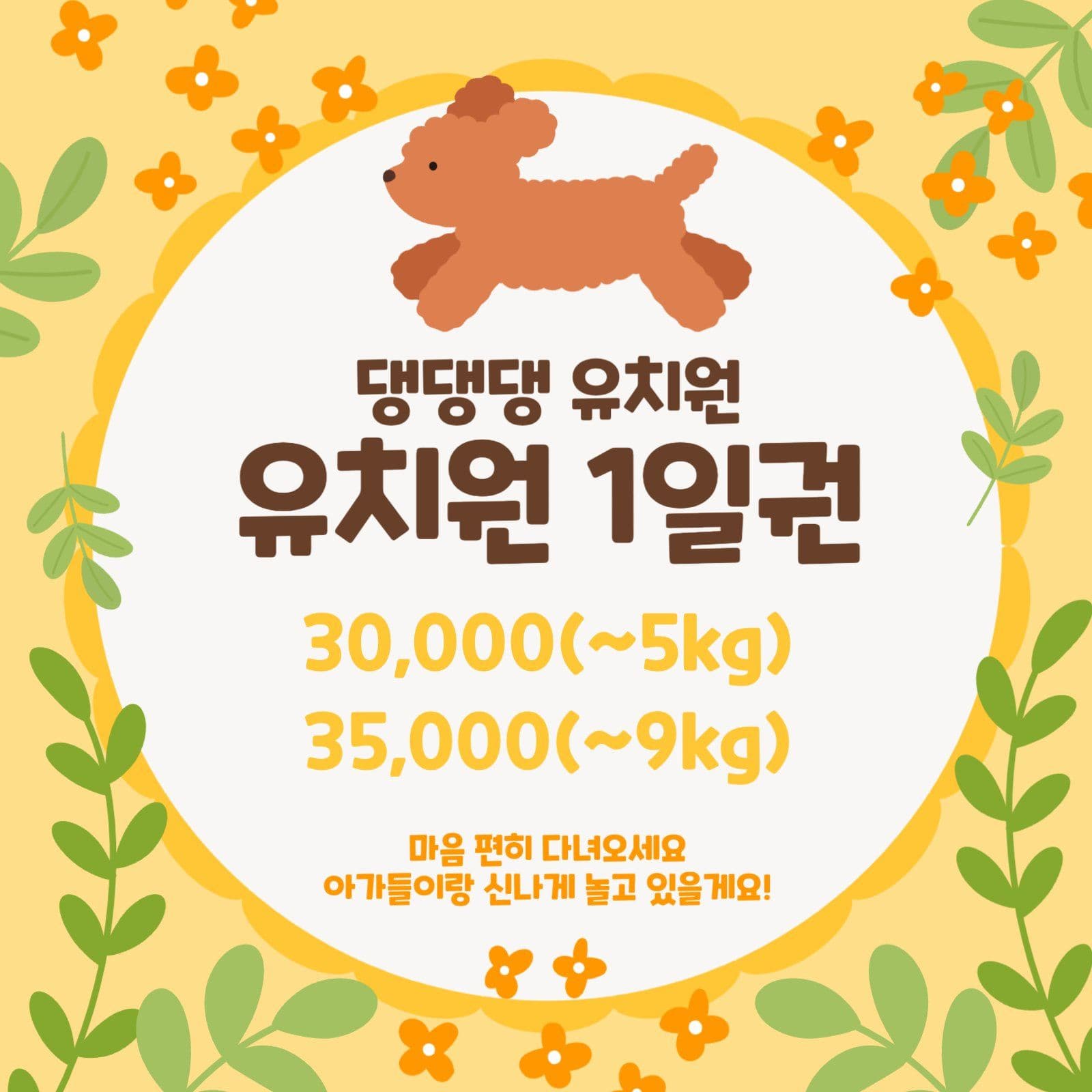 애견 유치원 1일권