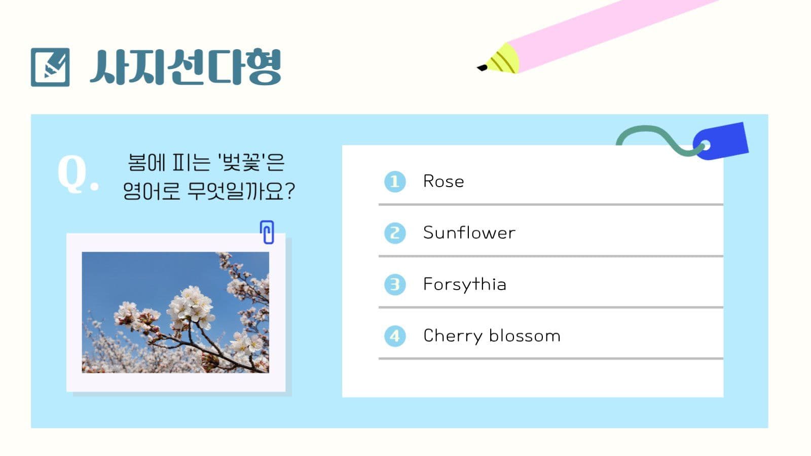 강사용 레이아웃 수정 PPT
