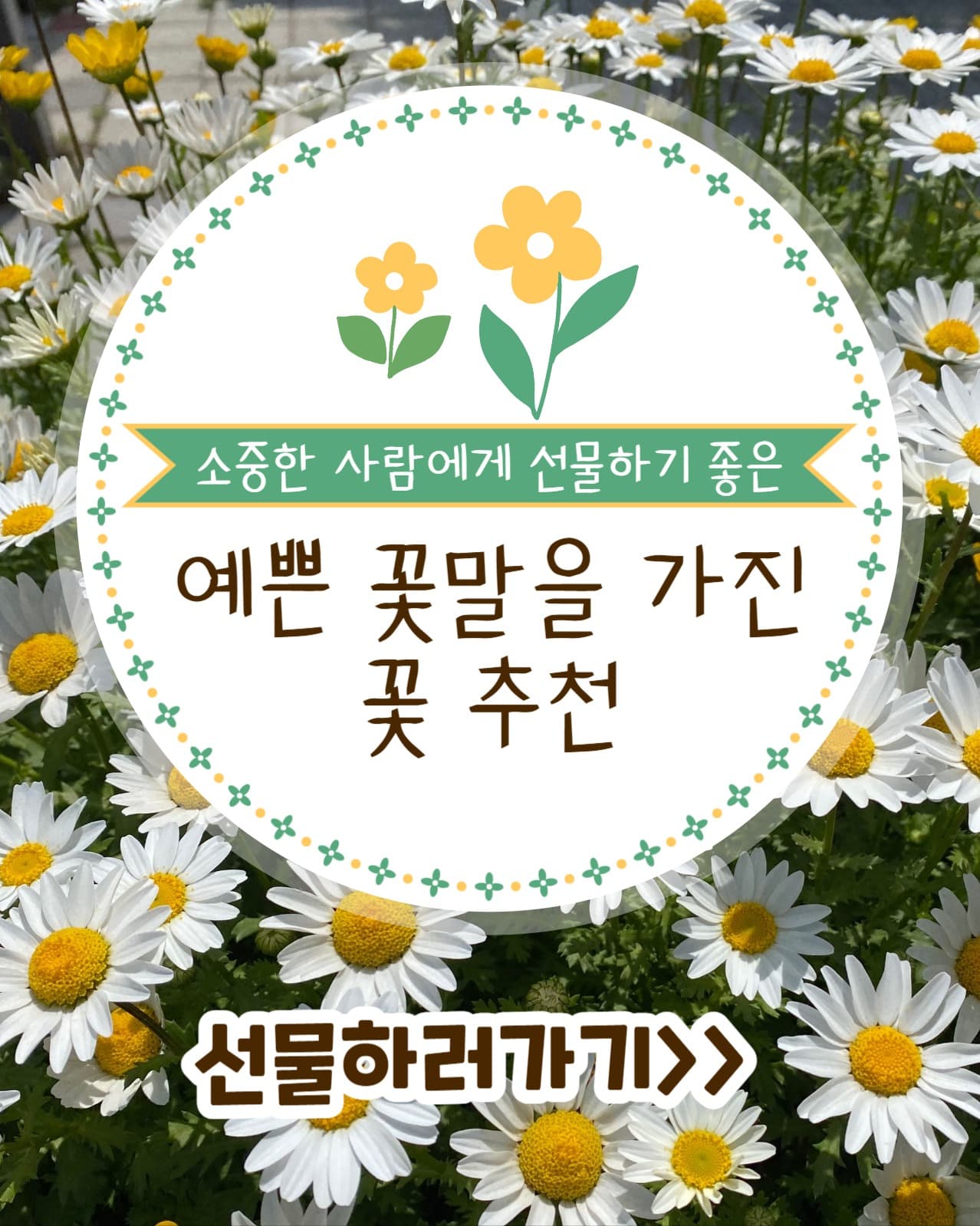 예쁜 꽃말을 가진 꽃 추천 인스타세로