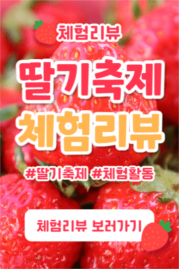 딸기축제 체험리뷰 (페북)