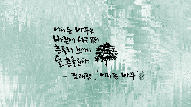 나이든나무