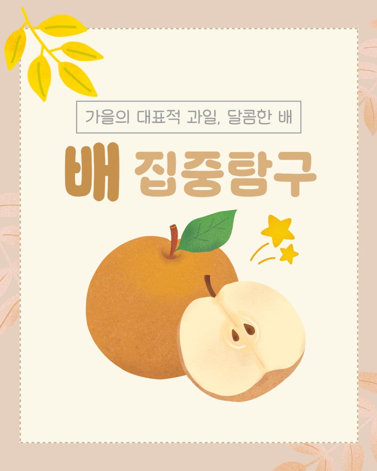 배 이야기