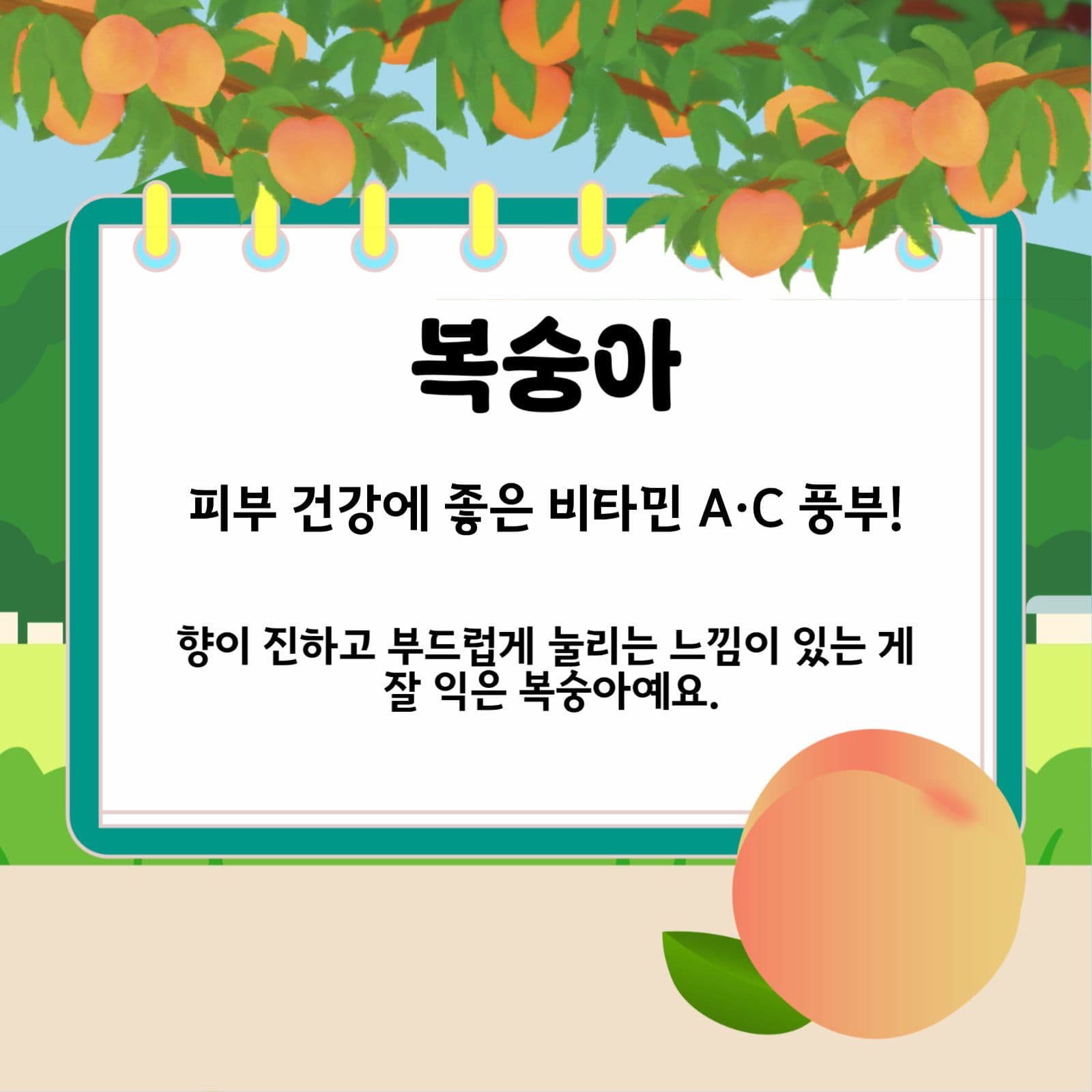 여름제철음식