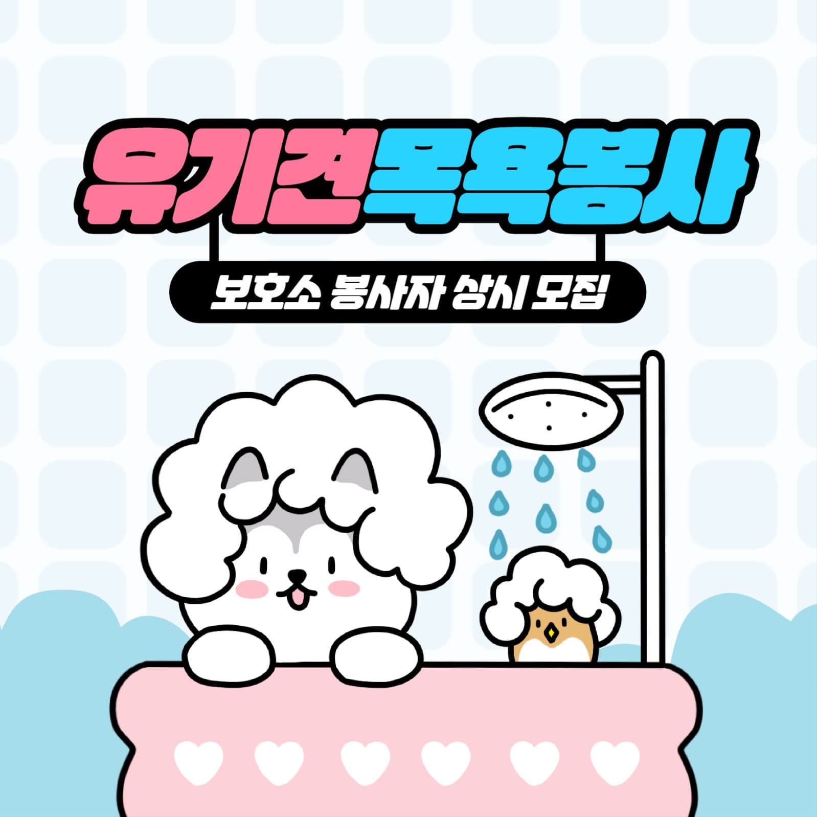 유기견 보호센터 목욕봉사자 모집