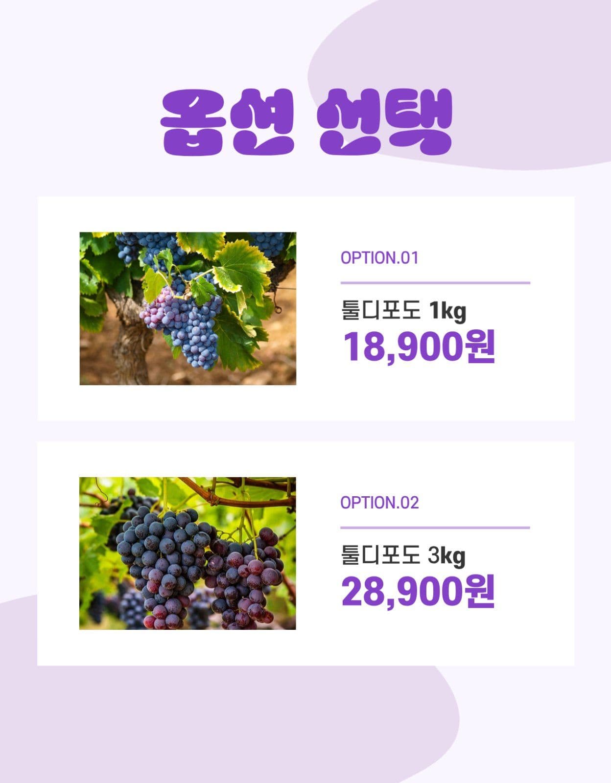 툴디 포도 상세페이지