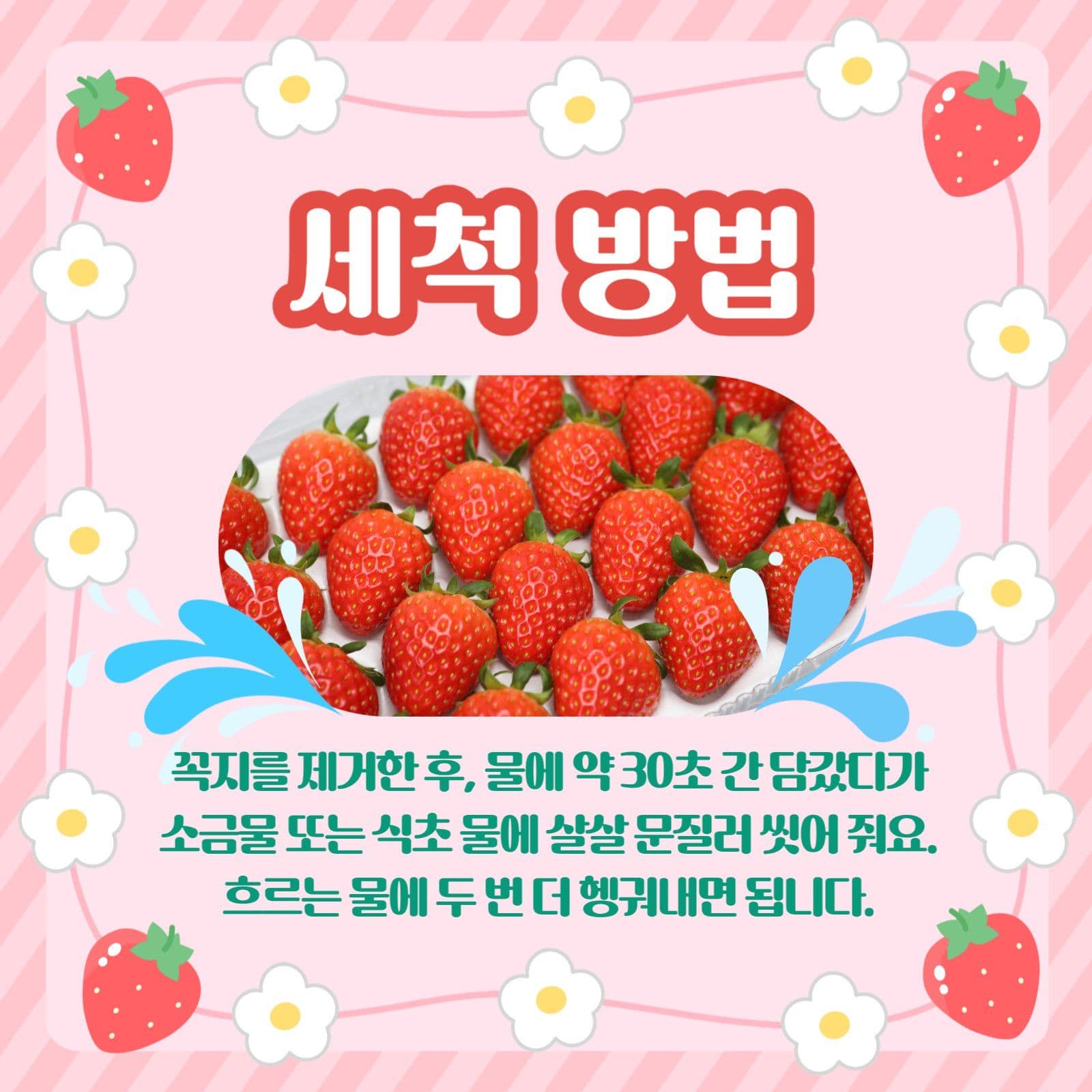 겨울 제철 과일 딸기 꿀 팁