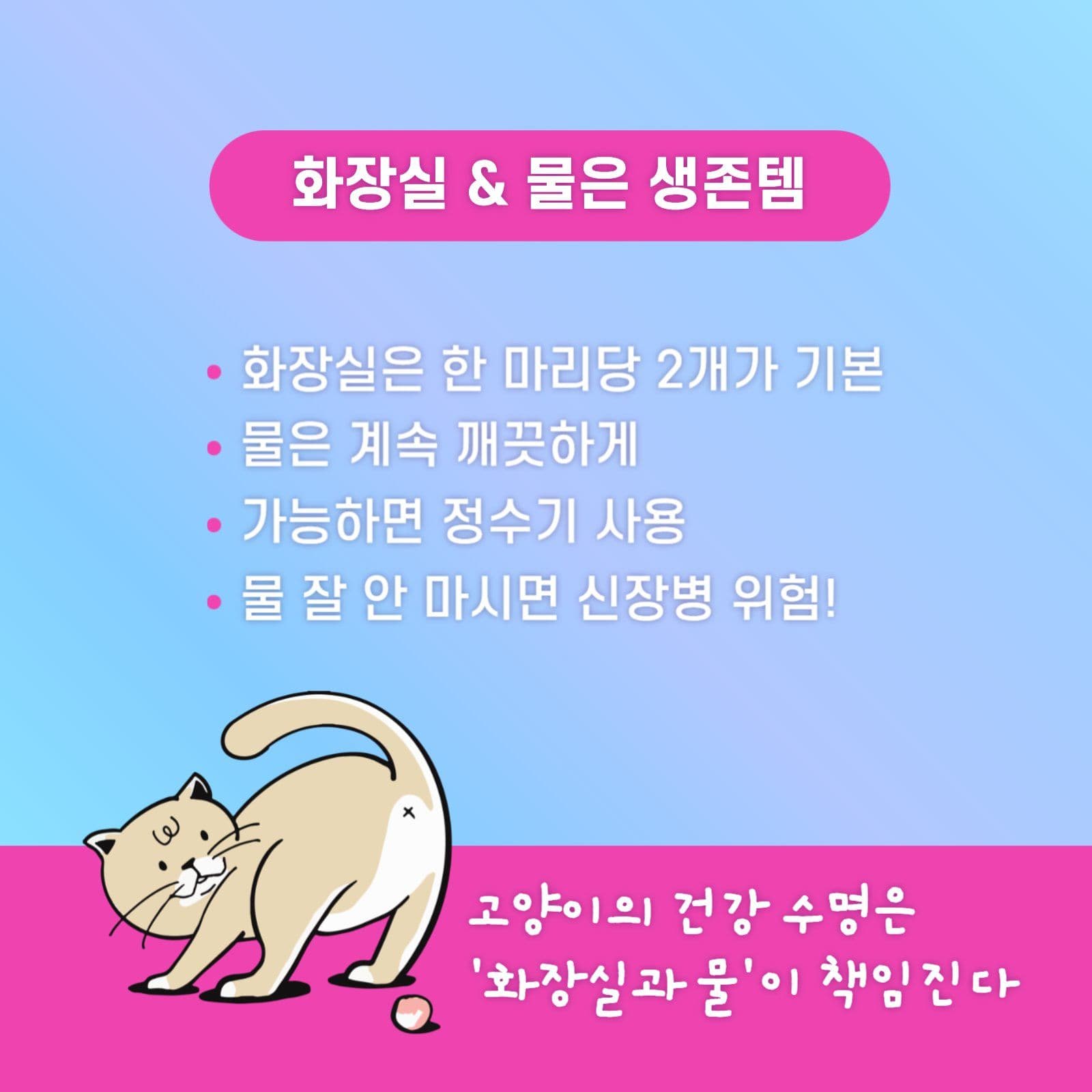 고양이와 집사