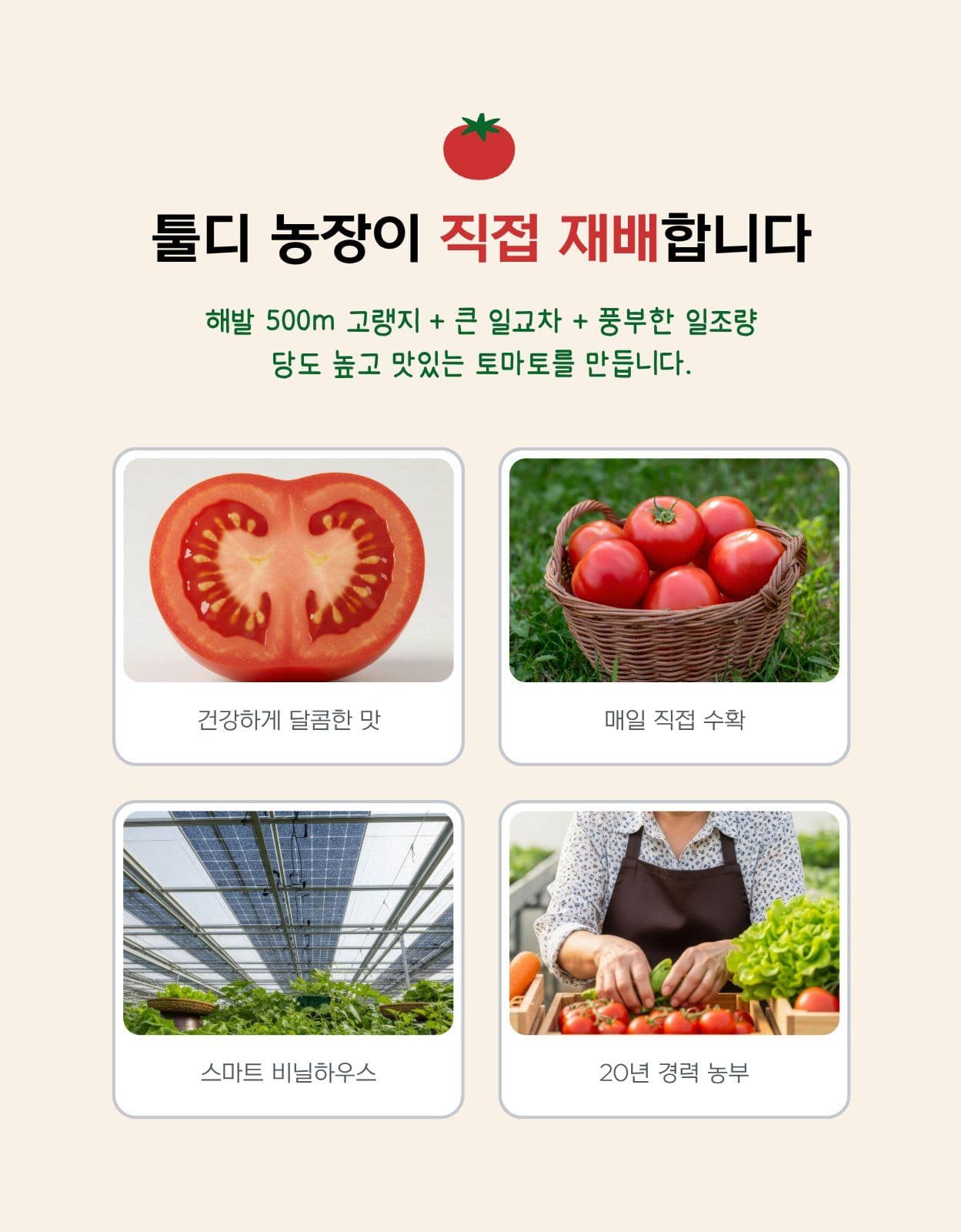 토마토 과일 야채 식품 상세페이지