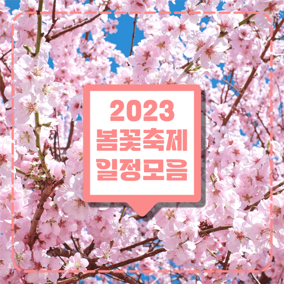 봄꽃축제 일정모음 인스타그램