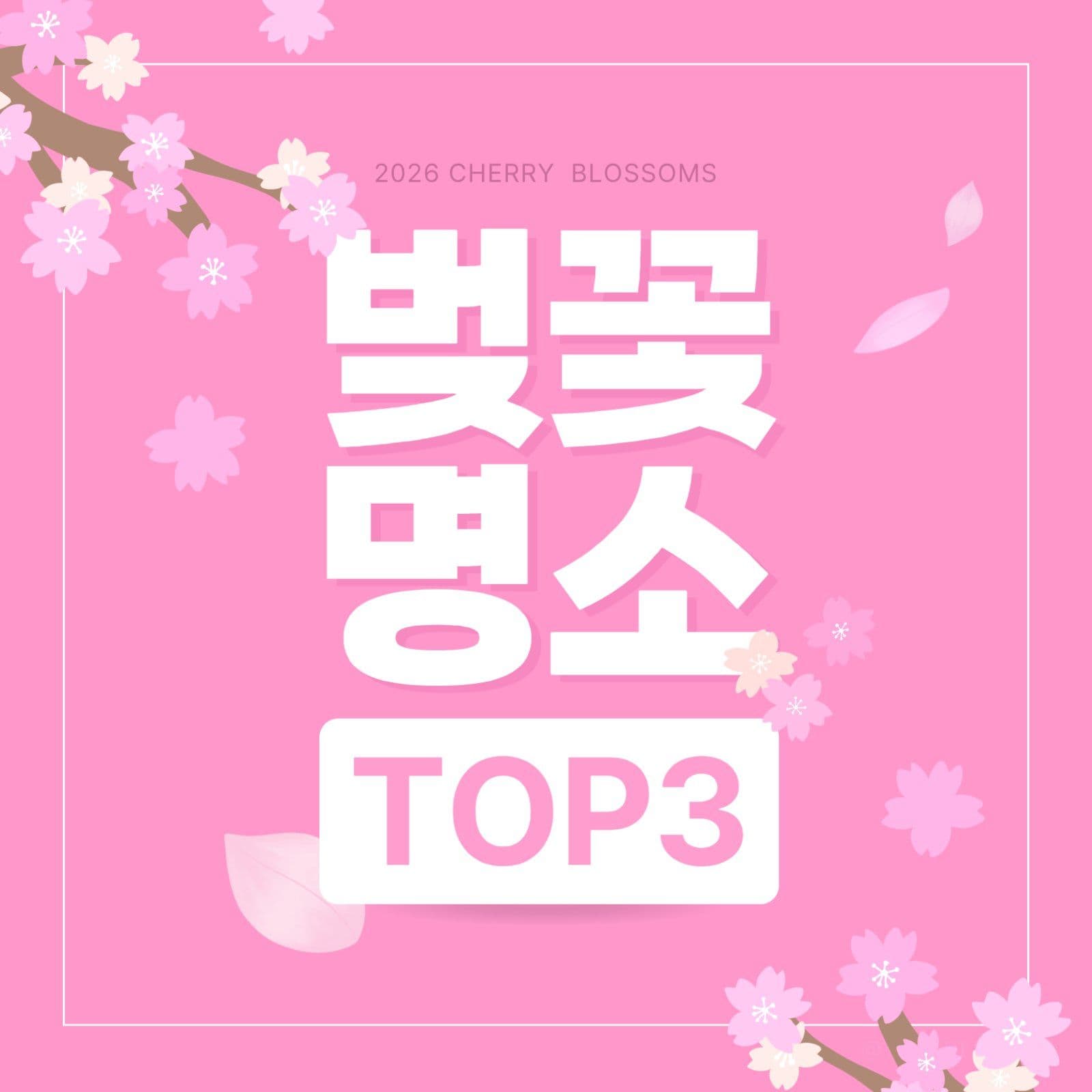 봄 인스타 블로그 카드뉴스 썸네일 