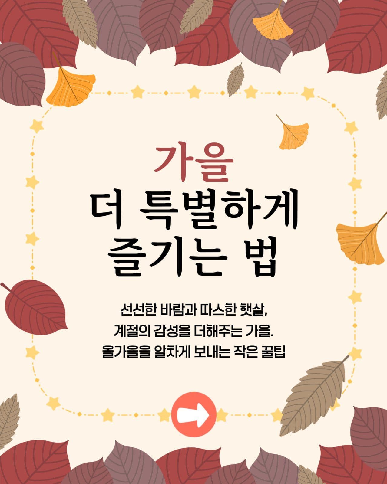 카드뉴스