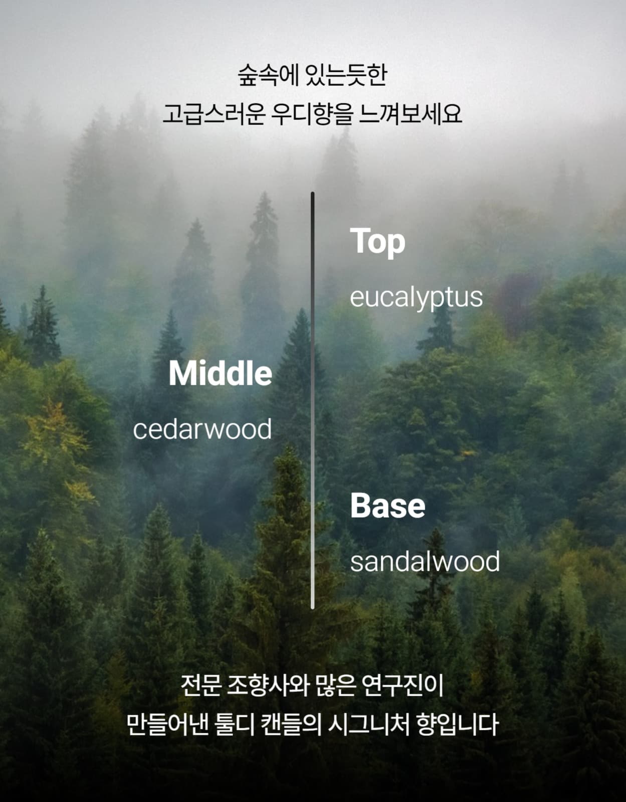 소이왁스 캔들