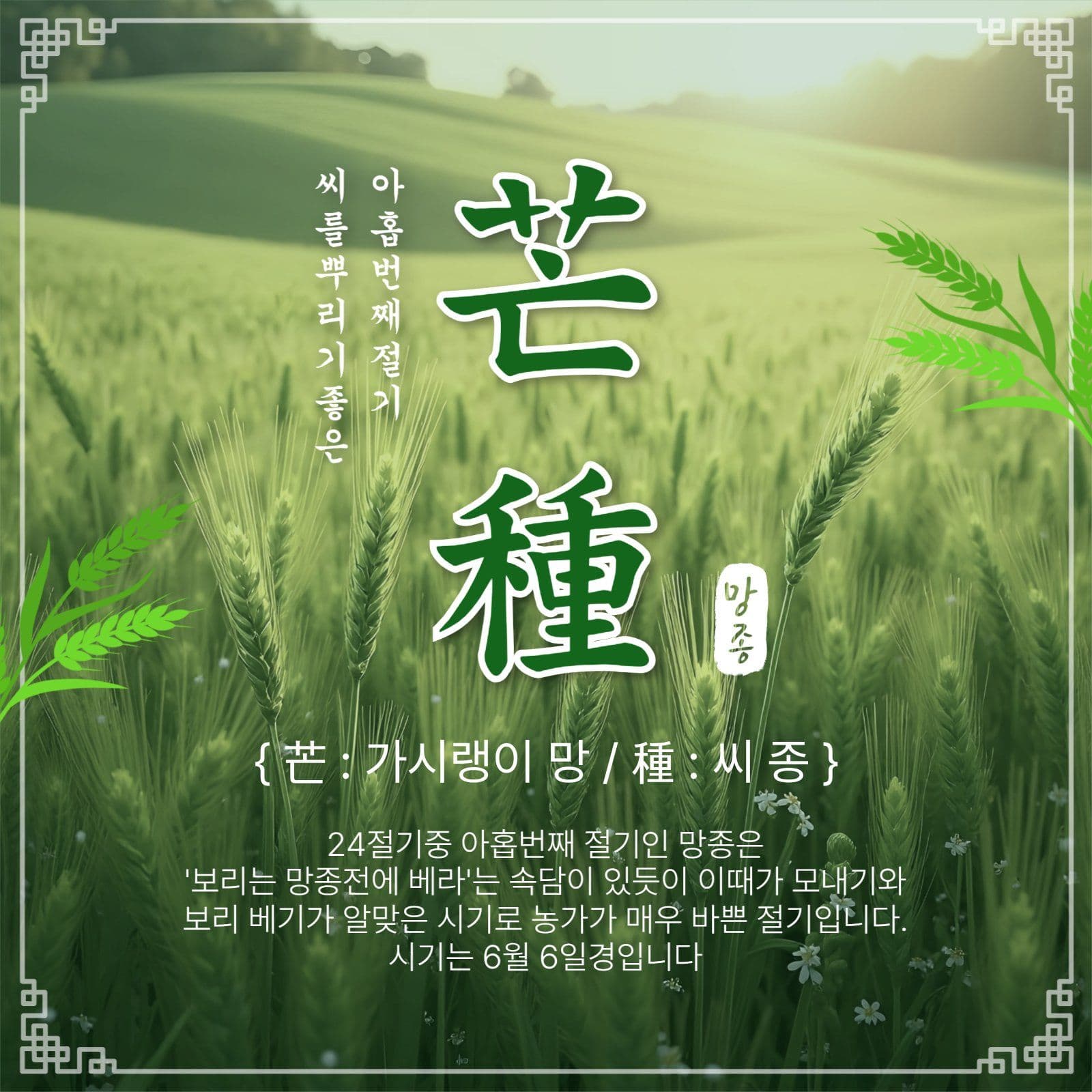 씨뿌리기좋은망종
