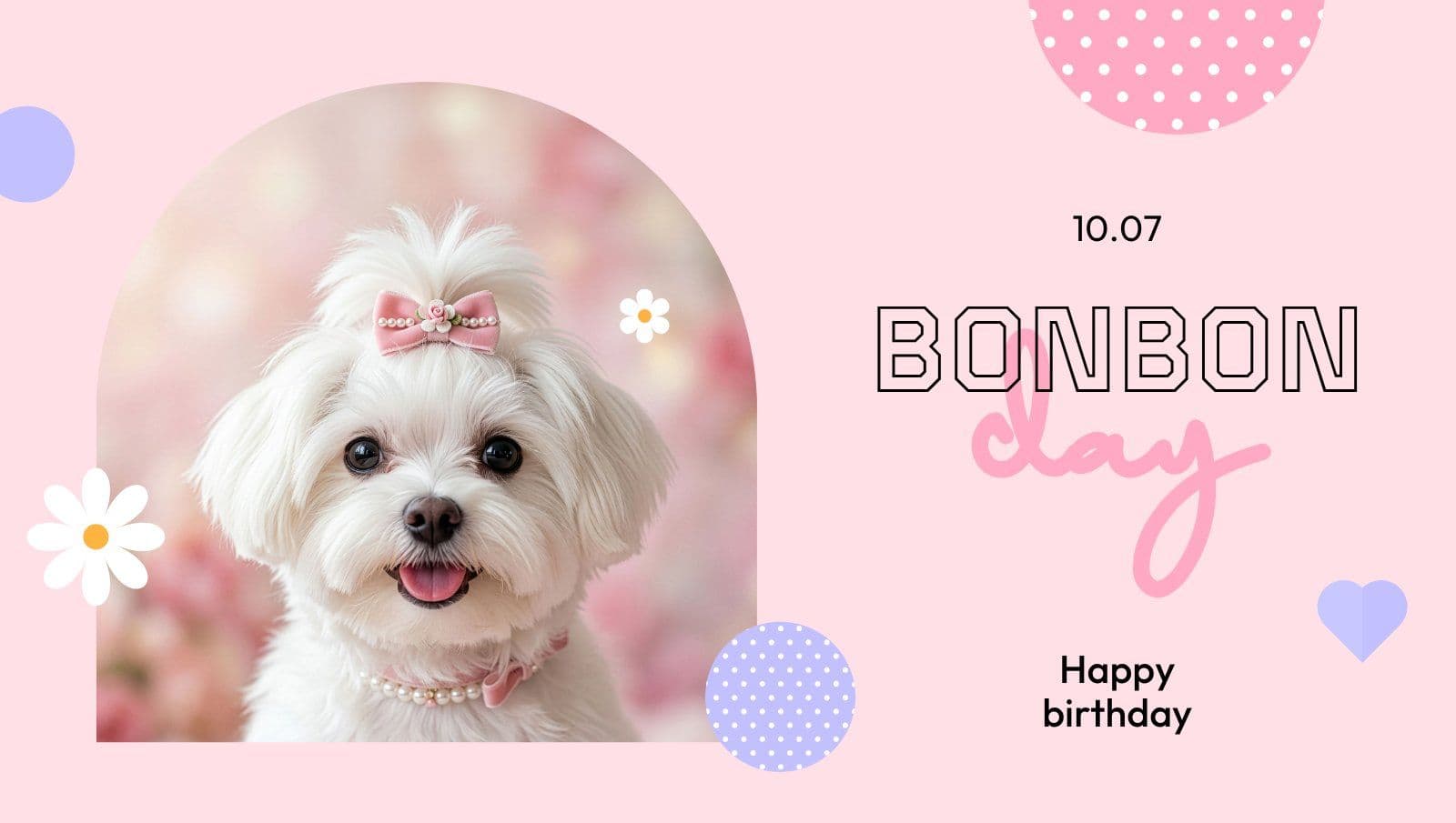 핑크 강아지 생일 축하 포토카드