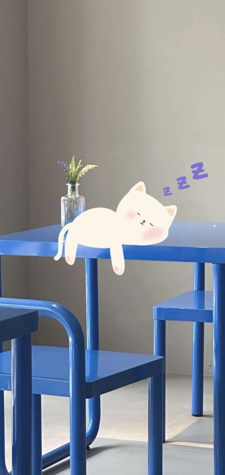 잠자는고양이폰배경화면