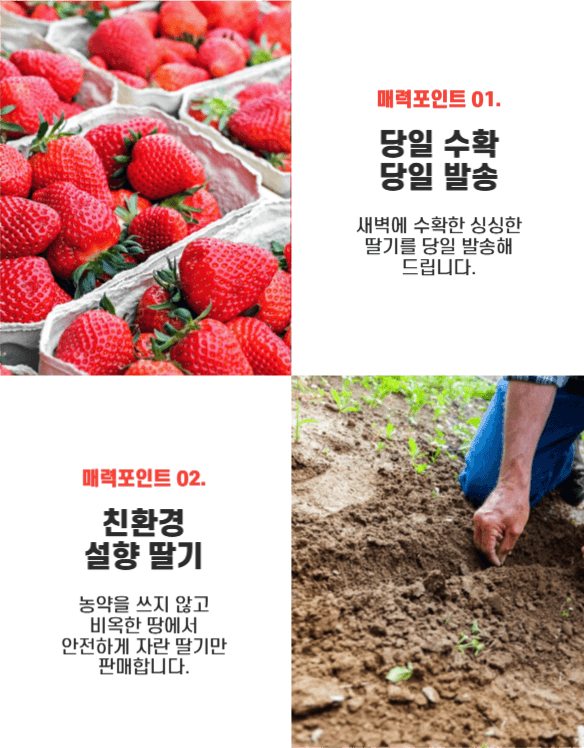 딸기 상세페이지