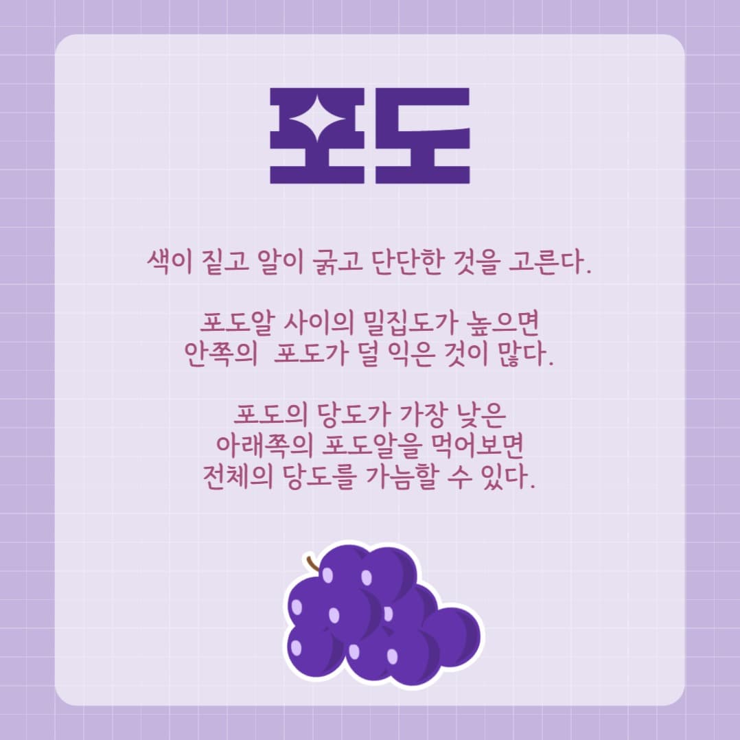 과일 고르기 카드뉴스