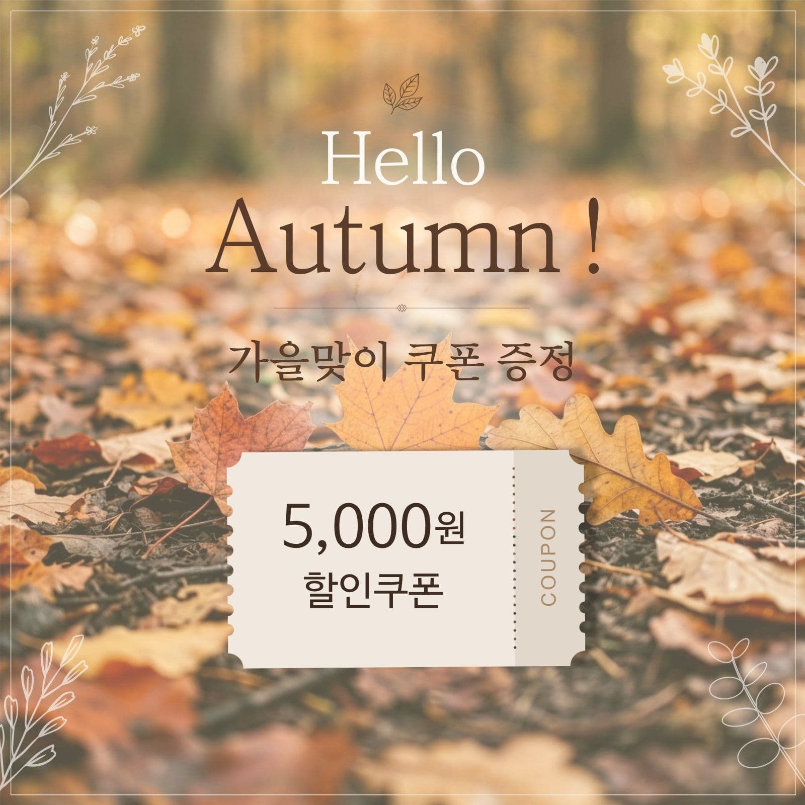 가을맞이 쿠폰 증정