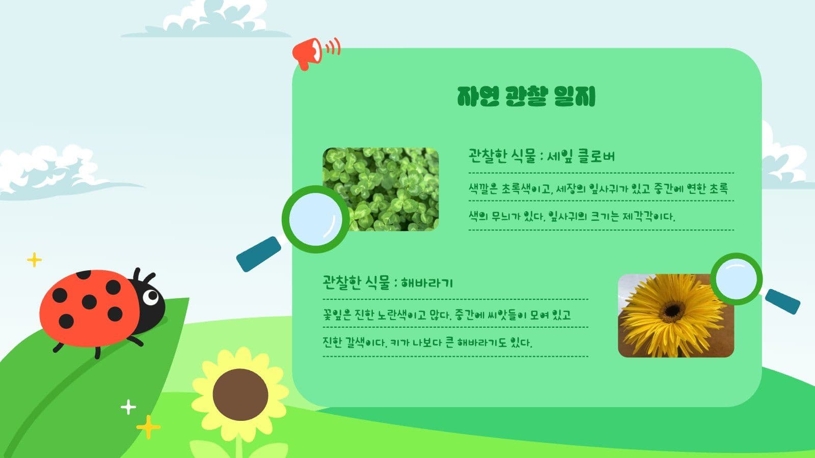 여름방학 체험학습 안내 PPT