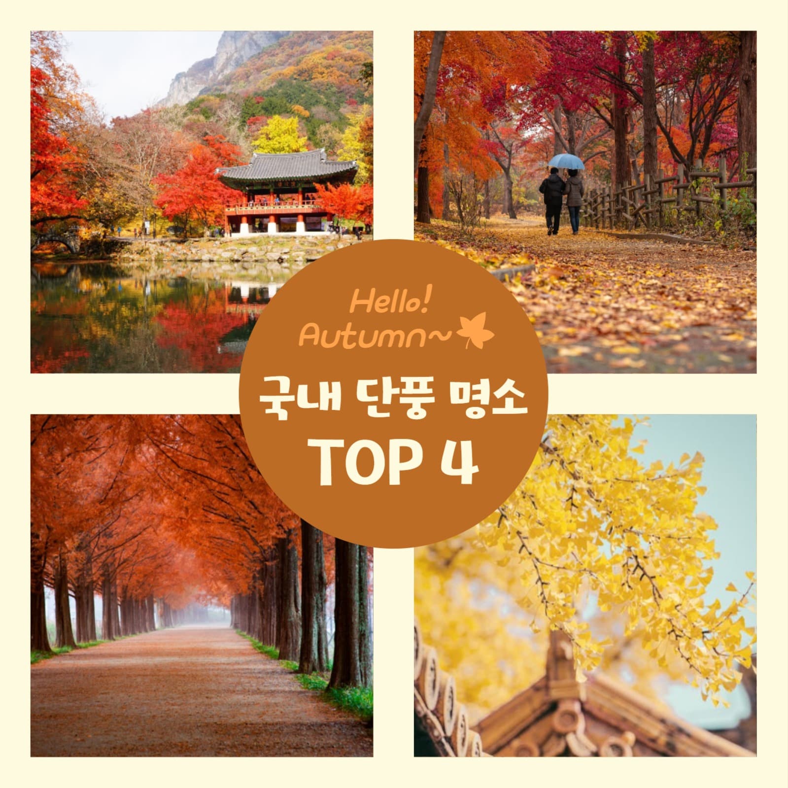 국내 단풍 명소 소셜 게시물