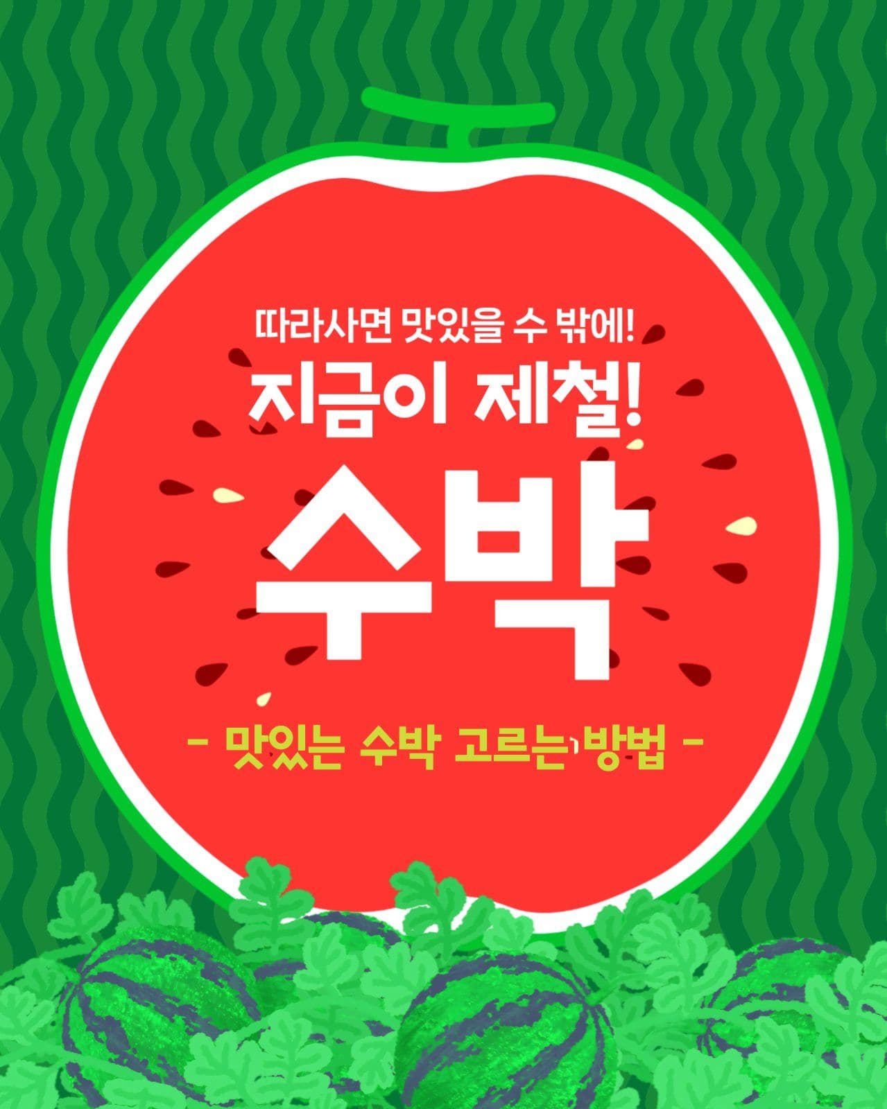 수박고르는법