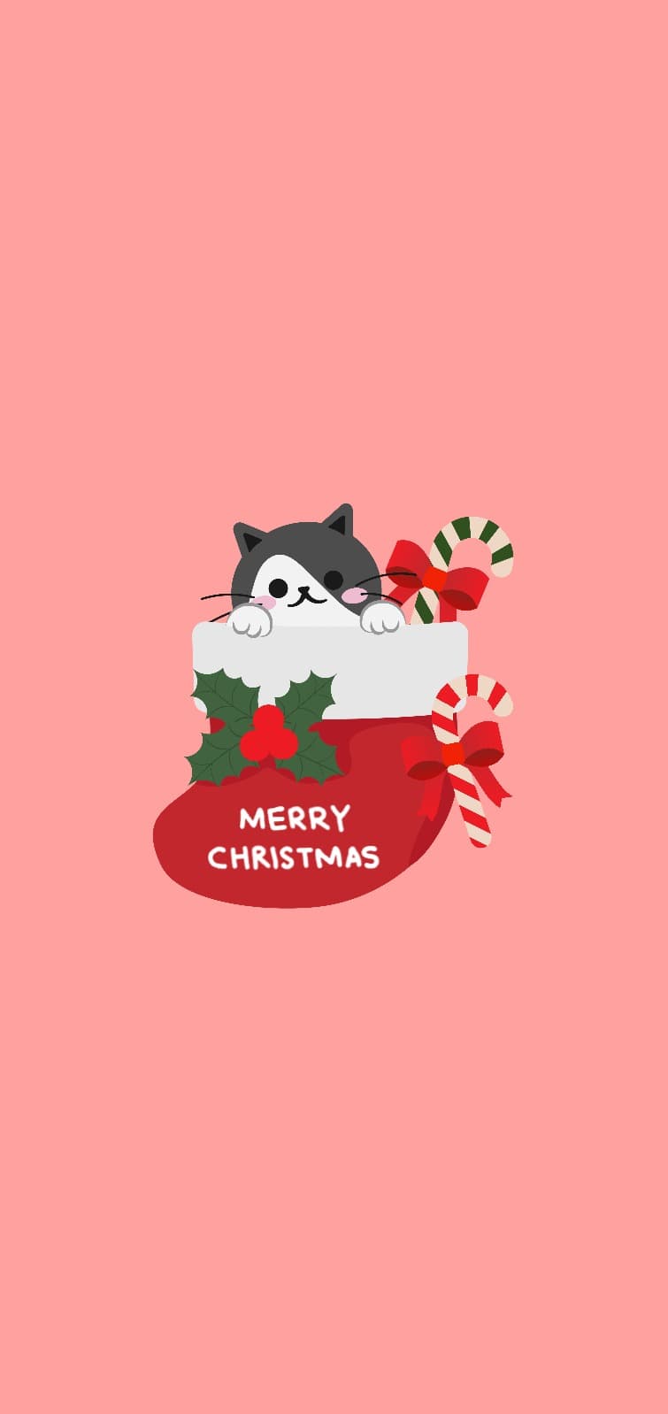크리스마스 양말 고양이 배경화면
