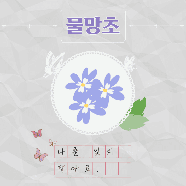 예쁜꽃말추천