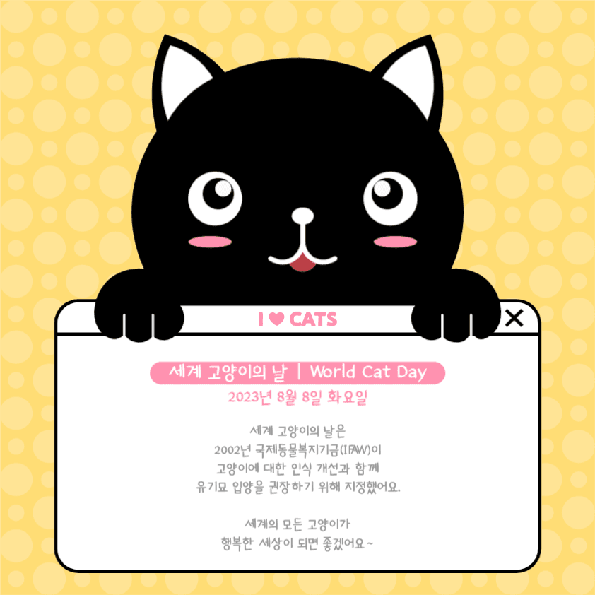 세계 고양이의 날 안내 인스타그램