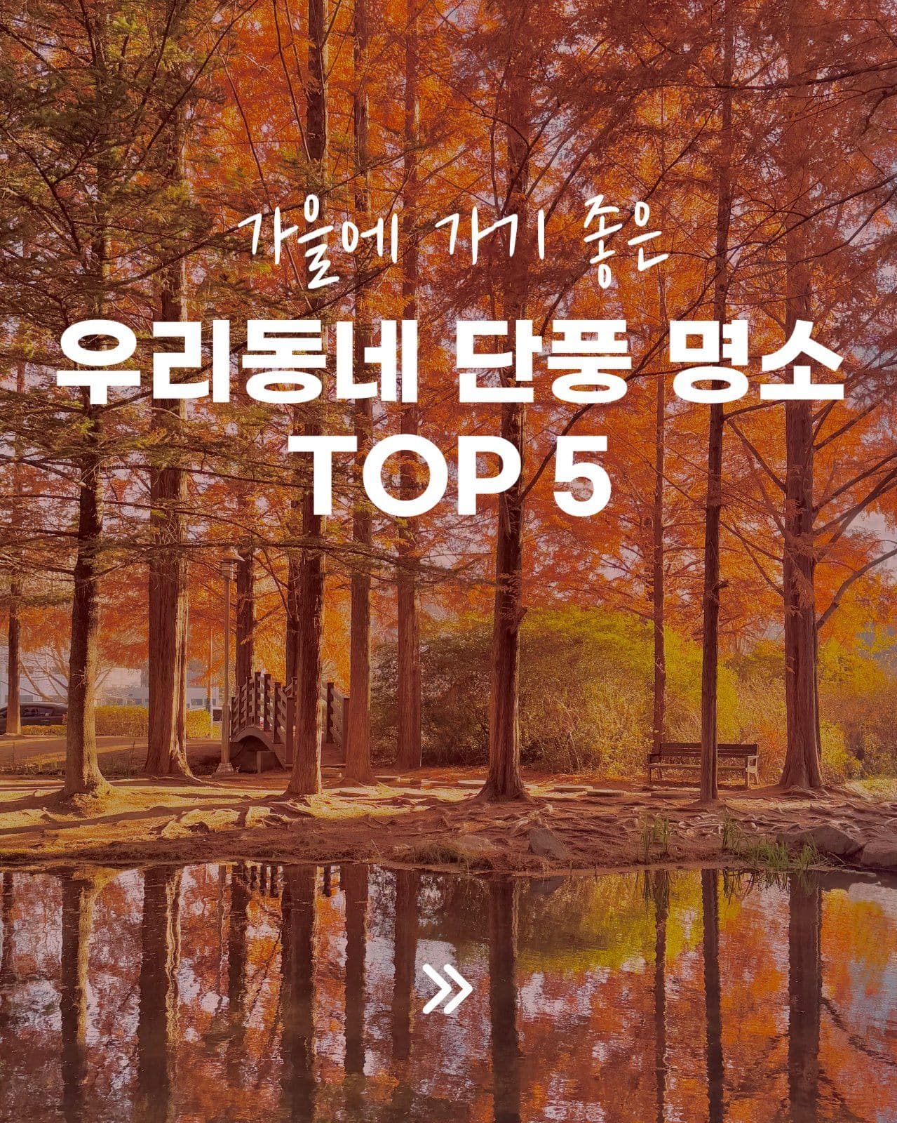 가을 단풍 명소 소개 카드뉴스