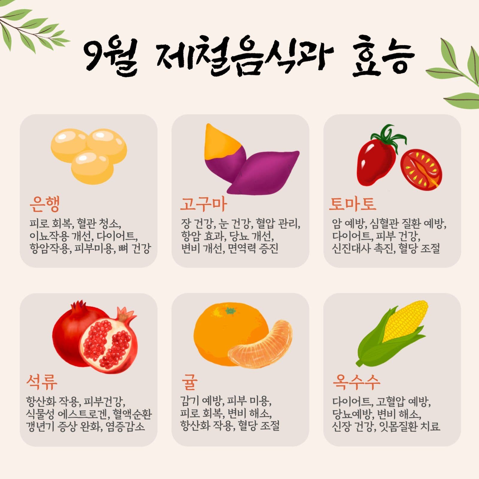 9월 제철음식 카드뉴스