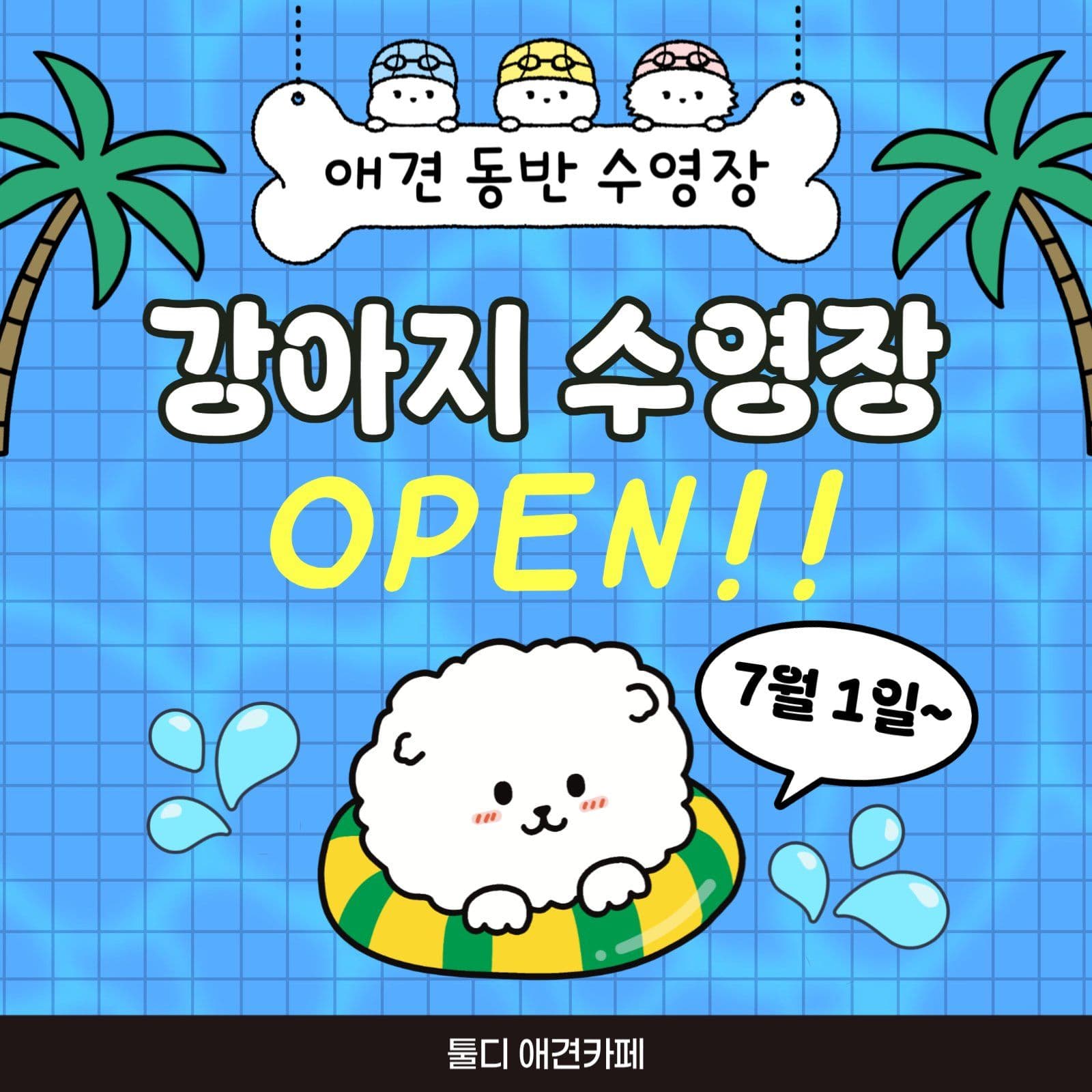 애견 수영장 오픈 안내