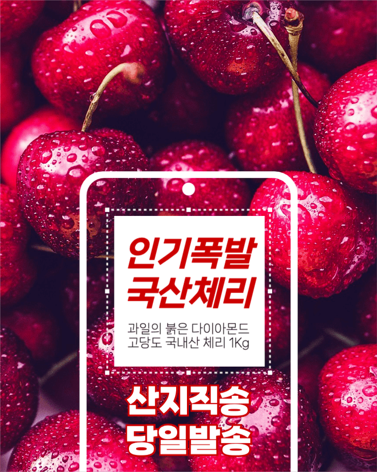 인기폭발 국산체리 당일발송 인스타그램