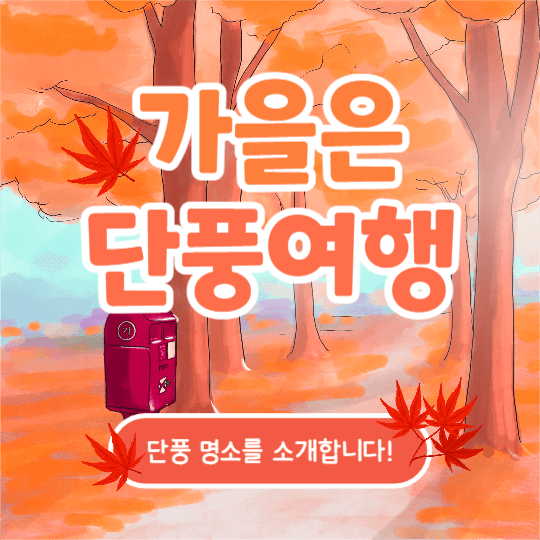 가을은 단풍여행 (카드뉴스)
