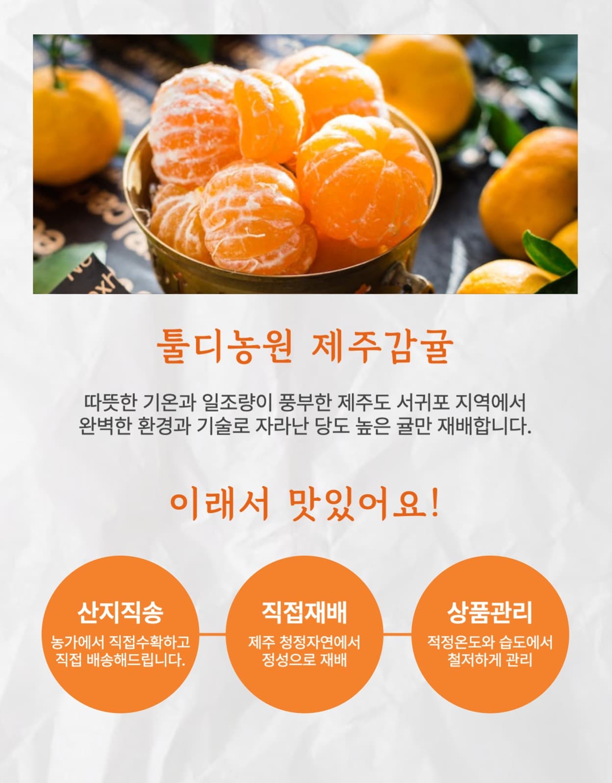 제주감귤 오렌지 농산물 상세페이지