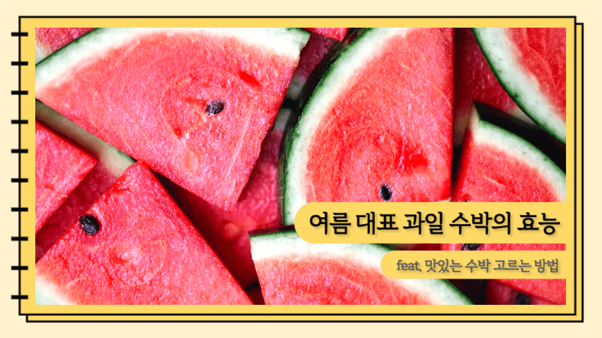 여름 대표 과일 수박의 효능