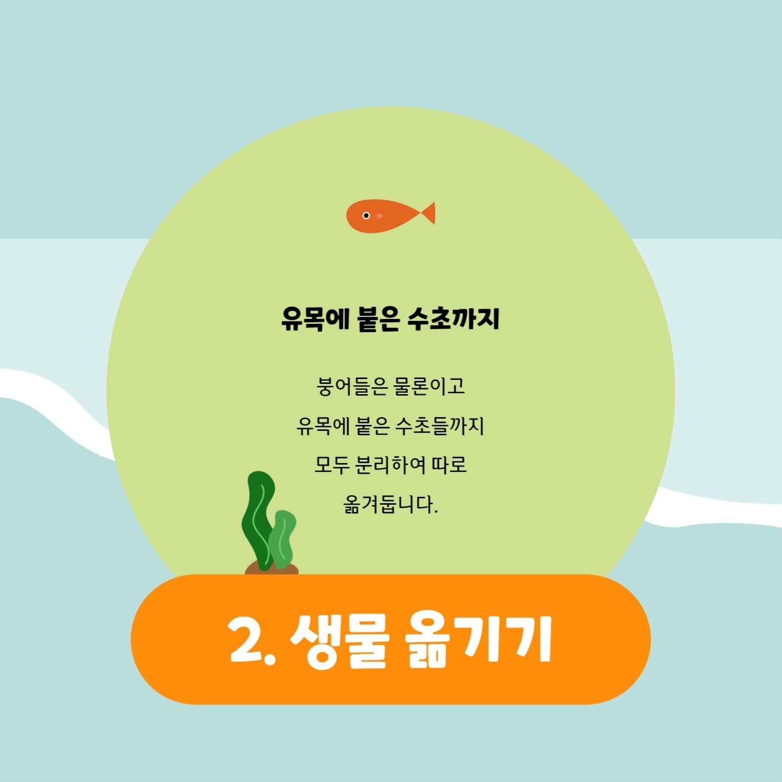어항 관리하기 카드뉴스