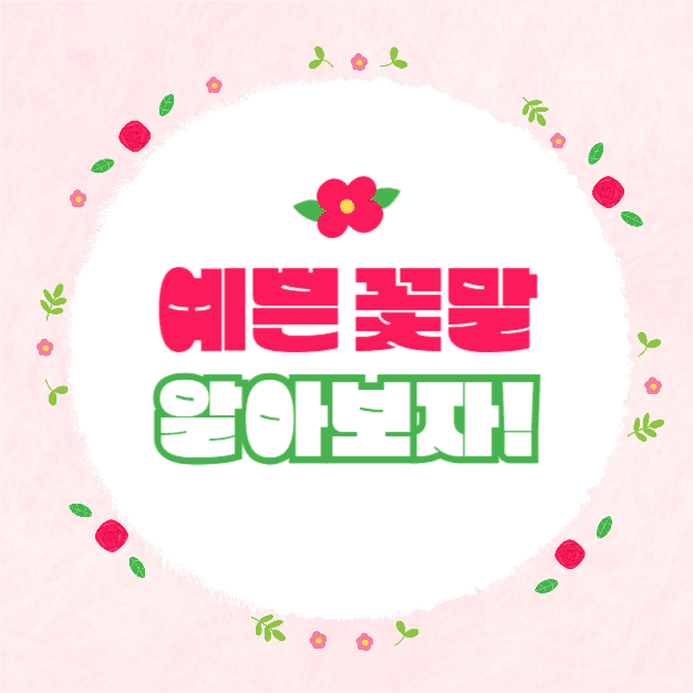예쁜 꽃말 모음집 (카드뉴스)