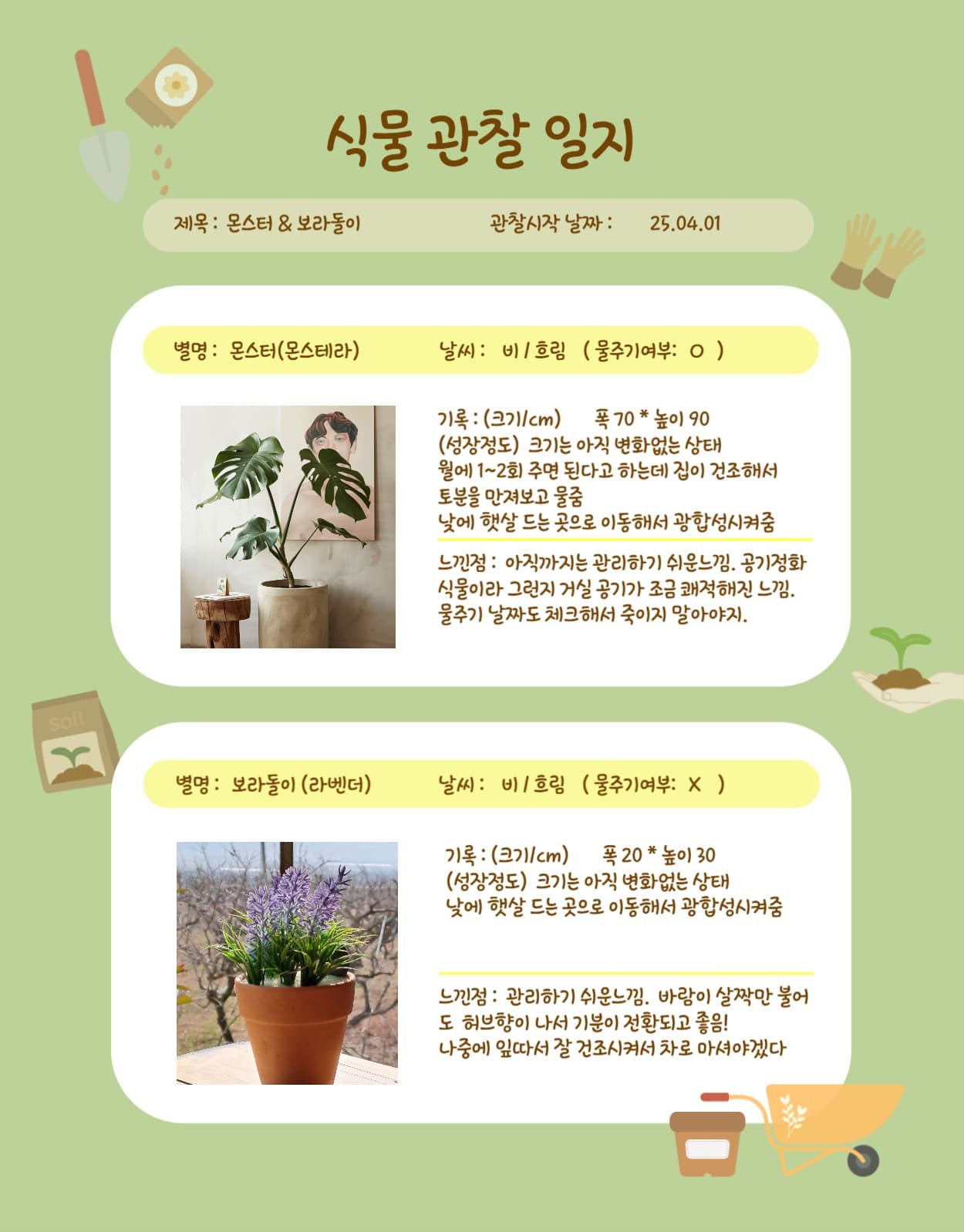 식물관찰일지 굿노트