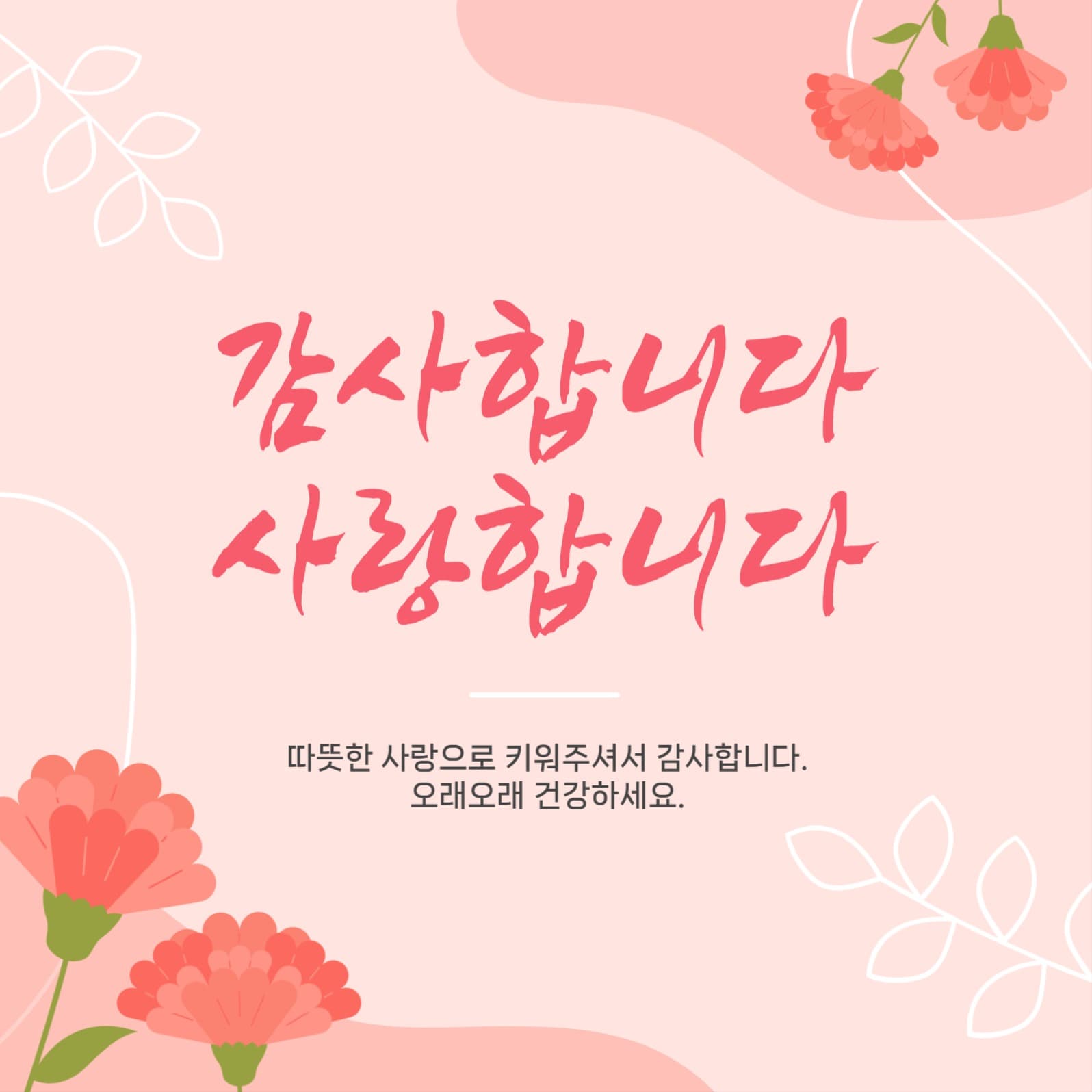 감사카드