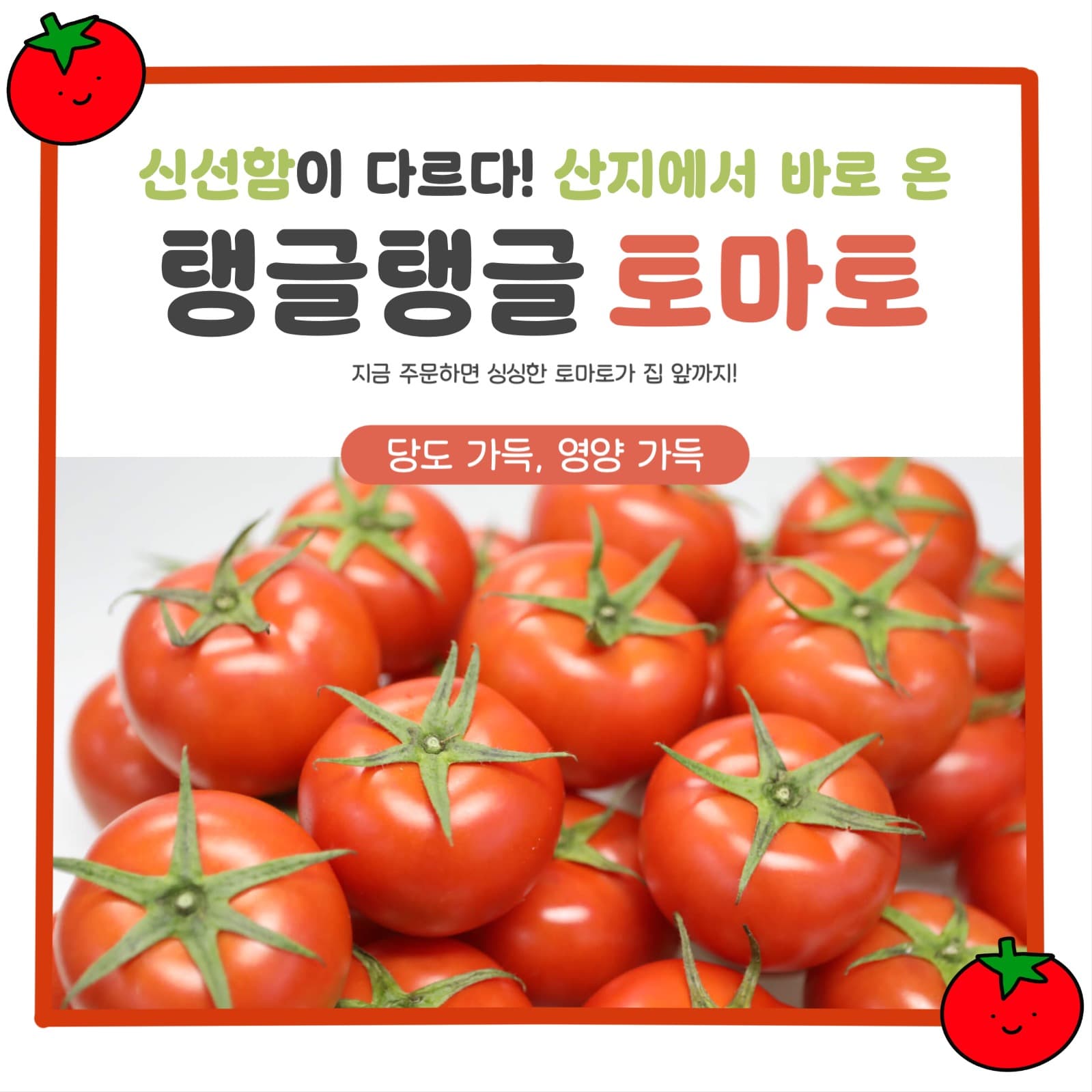 산지직송과일