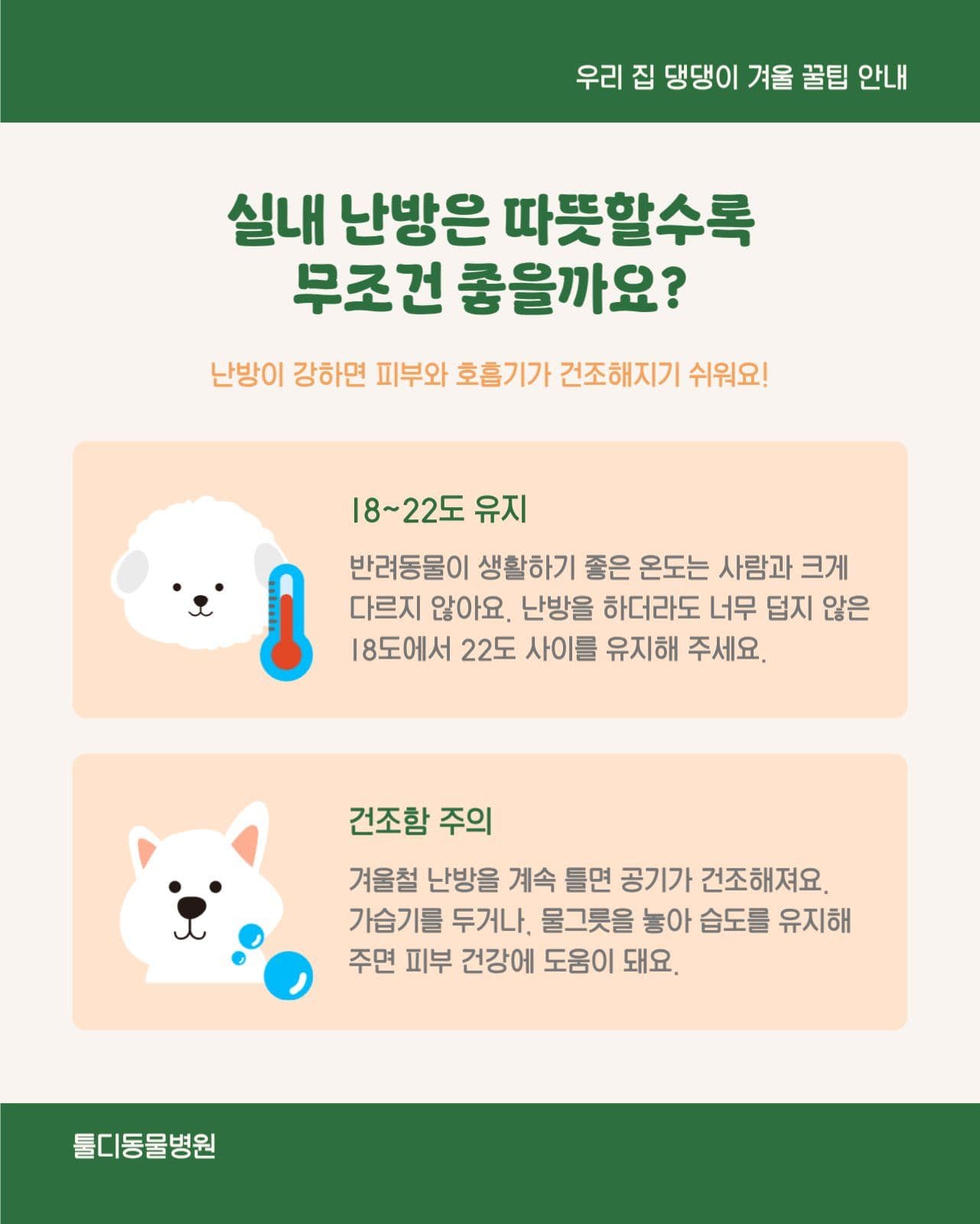 반려동물 강아지 건강 정보 카드뉴스