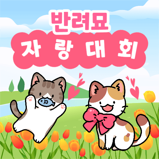 반려묘 자랑대회 (인스타)