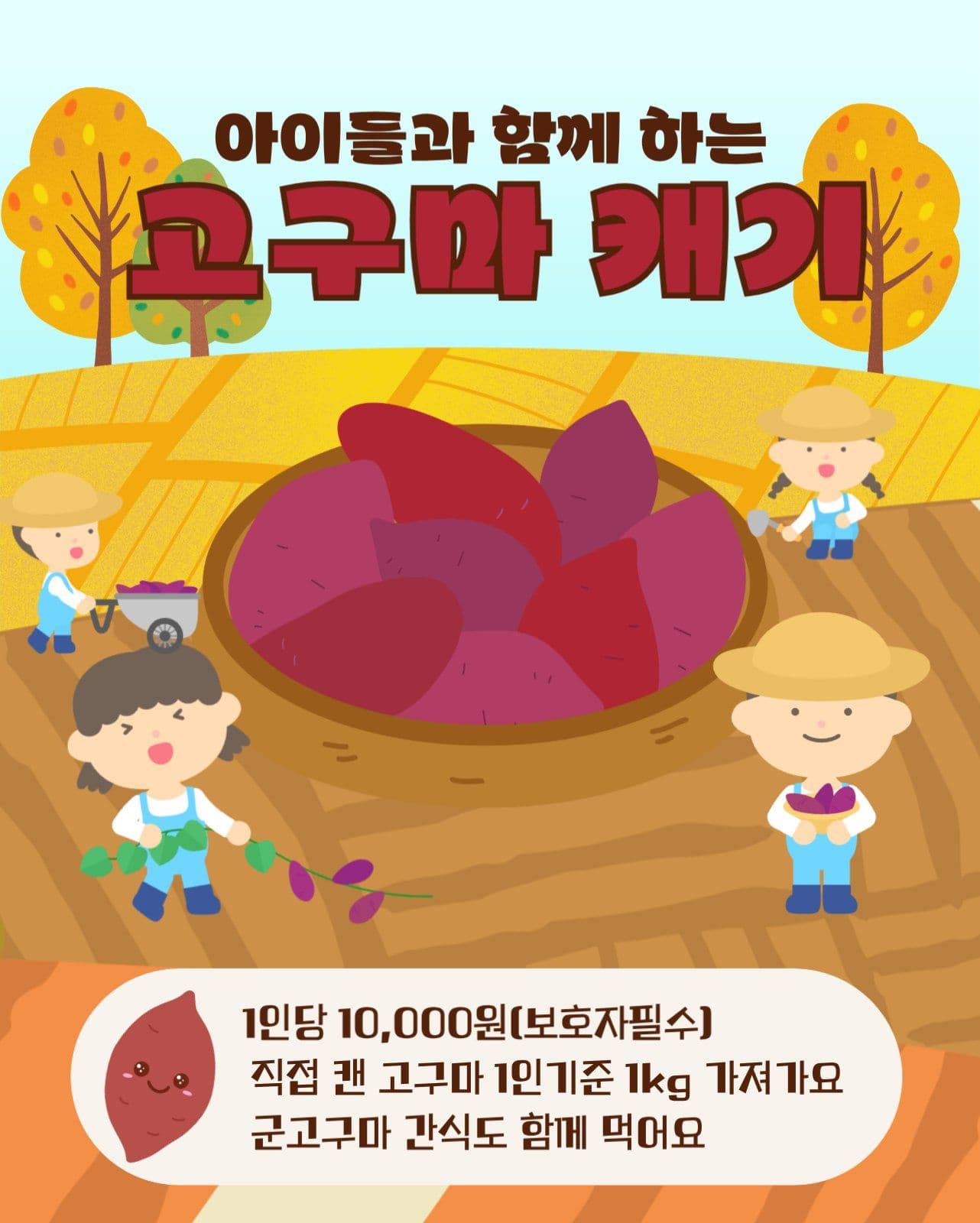 고구마 캐기기 체험 홍보