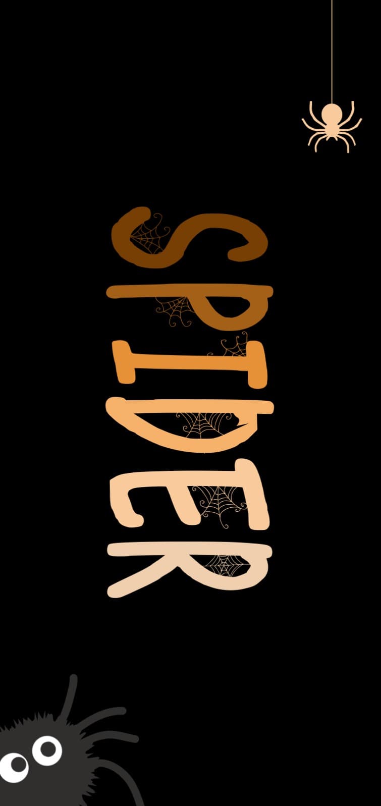 스파이더