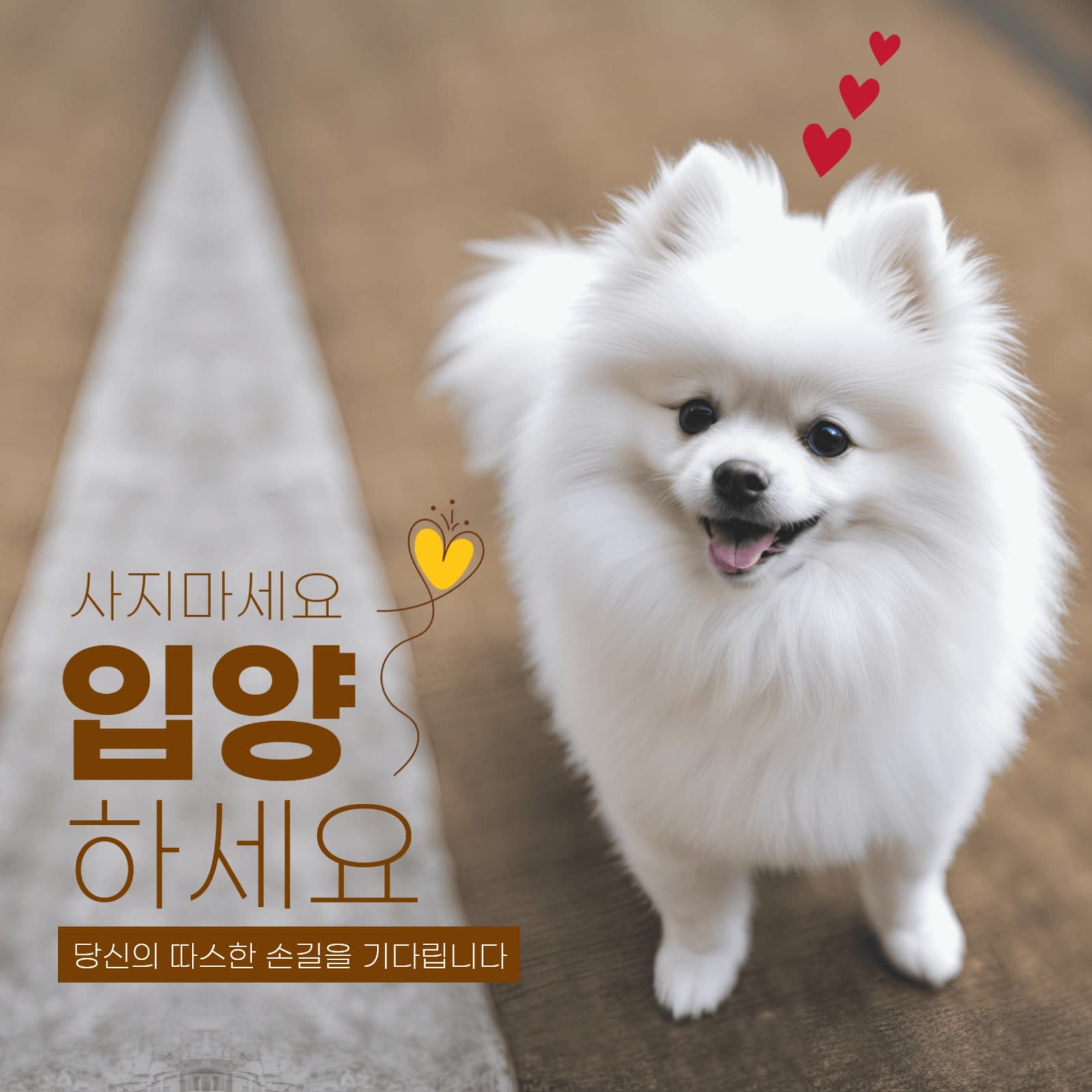 유기견 입양 홍보 팝업