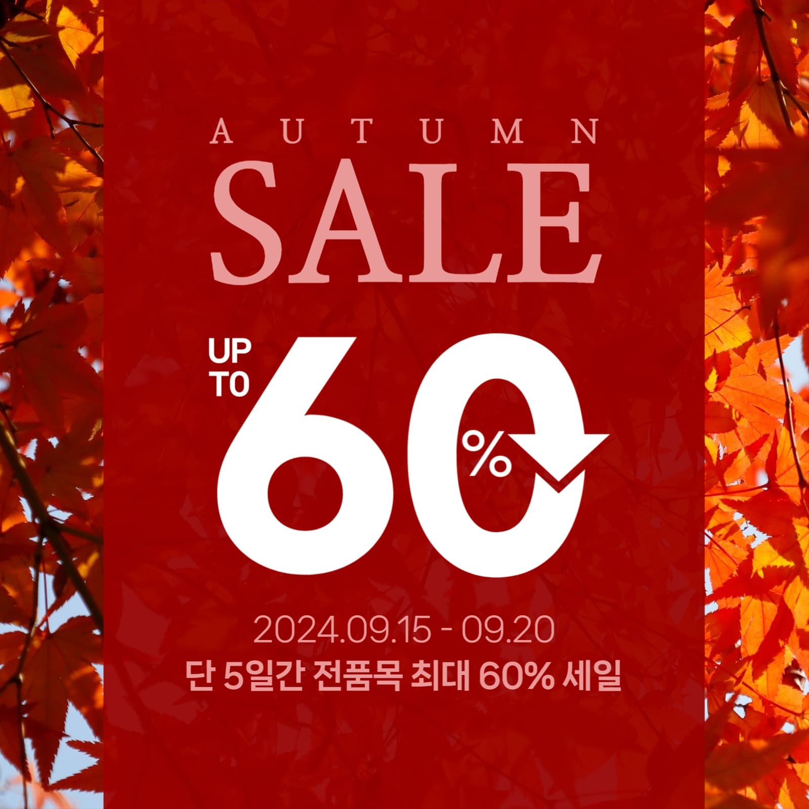 가을 할인  인스타 게시물