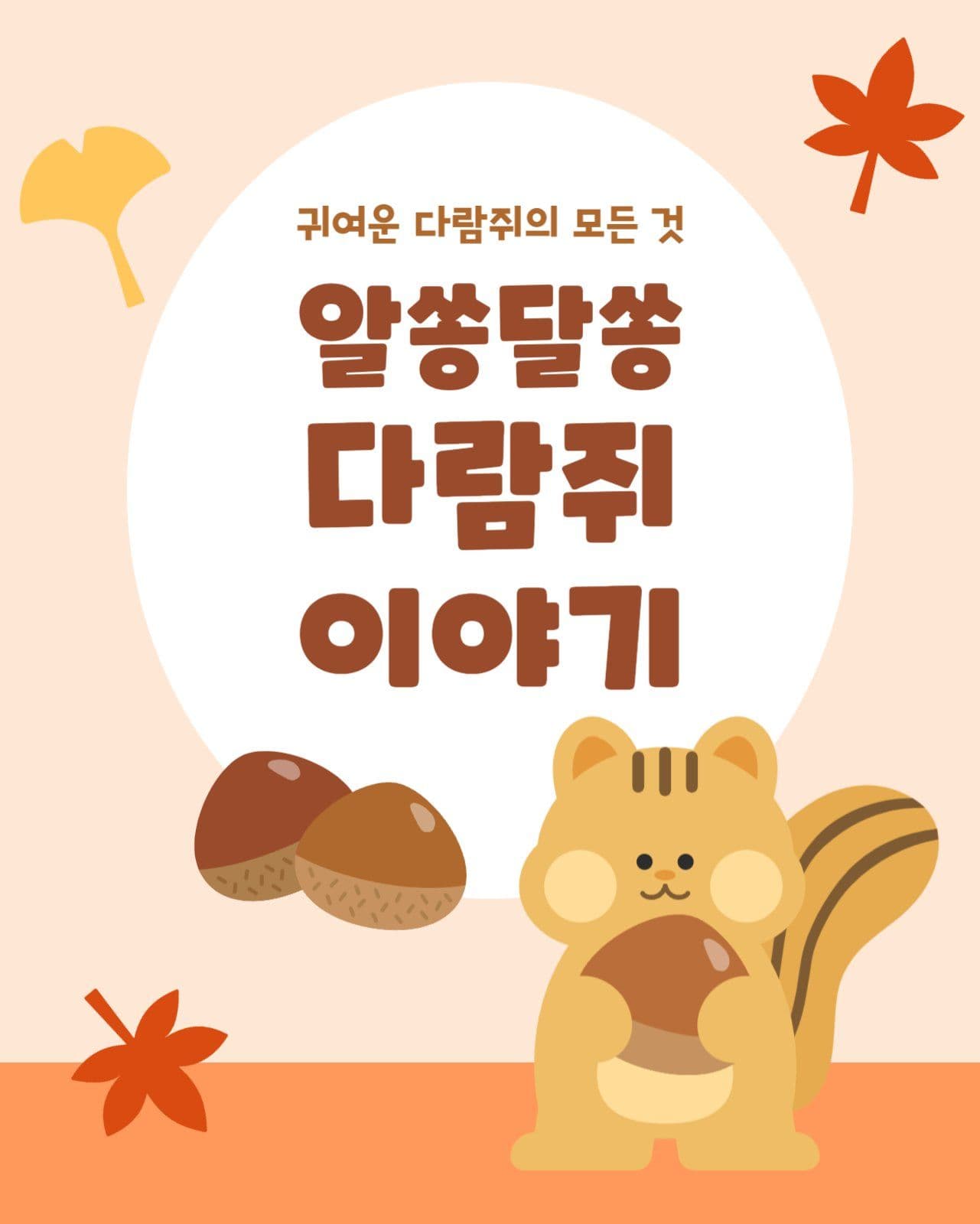 다람쥐 가을 동물 정보 카드뉴스