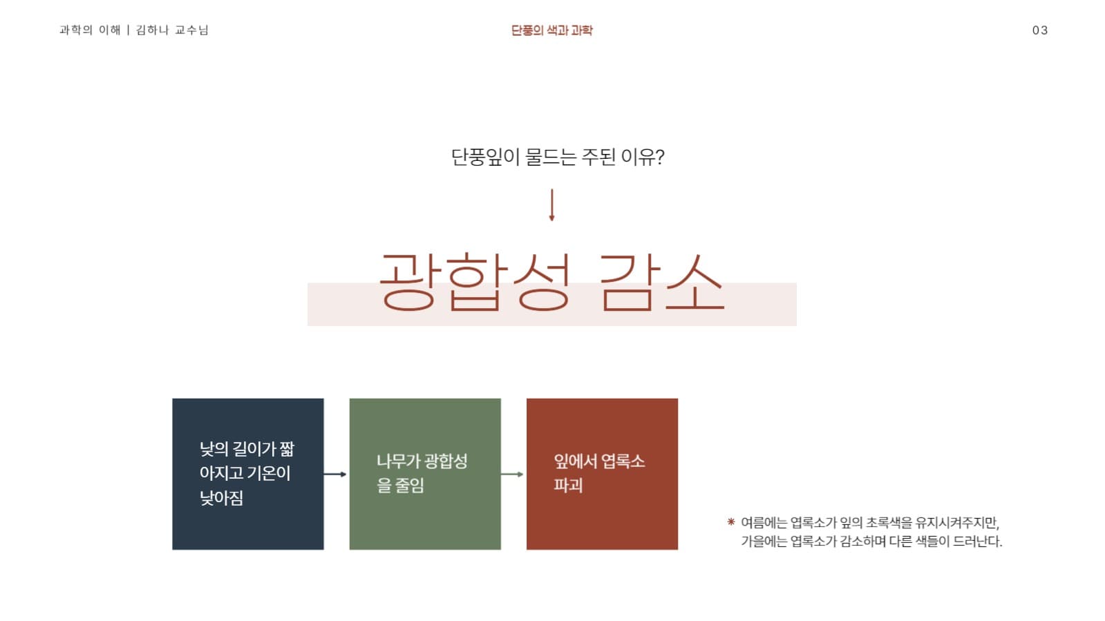 단풍 테마 발표 프레젠테이션